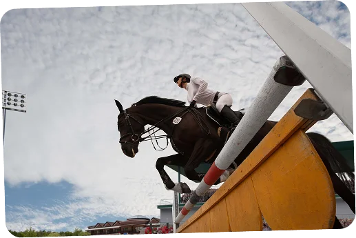Un cheval bai foncé et son cavalier vêtu de blanc franchissent un obstacle de saut d'obstacles peint de couleurs vives (rouge, jaune et blanc) sous un ciel nuageux et devant les gradins d'un stade.