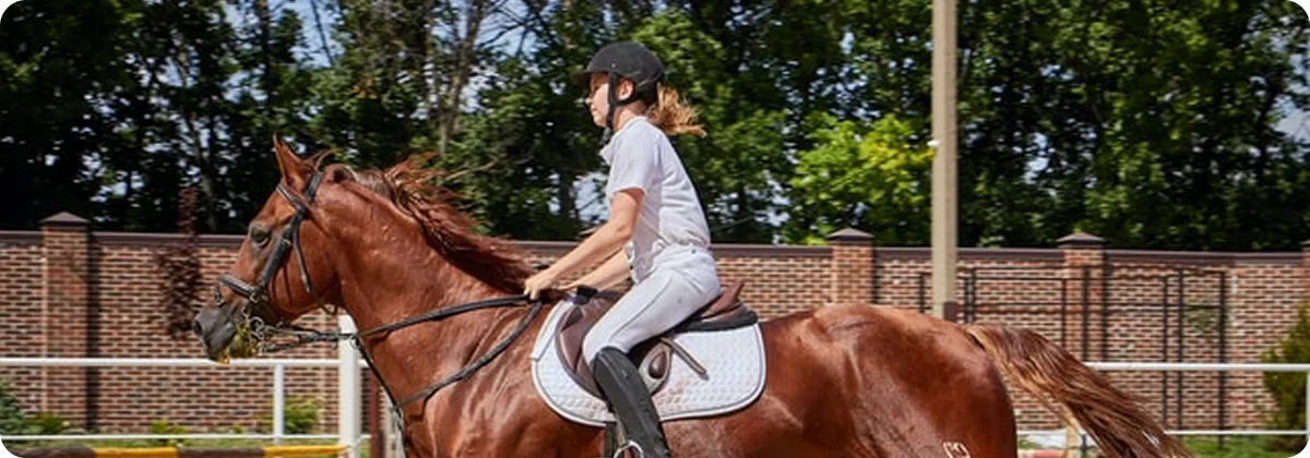 Jeune cavalière en tenue blanche chevauche un cheval alezan équipé de guêtres protectrices dans un manège en terre battue avec un mur de briques en arrière-plan.