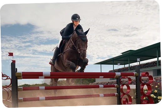 Un cavalier vêtu d'une tenue noire et d'un casque fait sauter un cheval brun par-dessus un obstacle rayé rouge et blanc lors d'un concours de saut d'obstacles devant les gradins d'un stade.