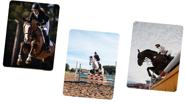 Une cavalière vêtue d'une tenue noire et d'un casque saute activement à cheval sur un cheval alezan avec une liste blanche au-dessus d'un obstacle bas en plein air.